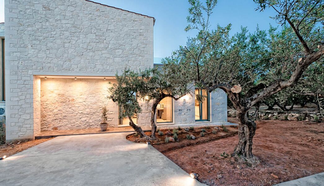 Villa Faidra Olive Grove